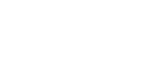 Daisies and Dahlias